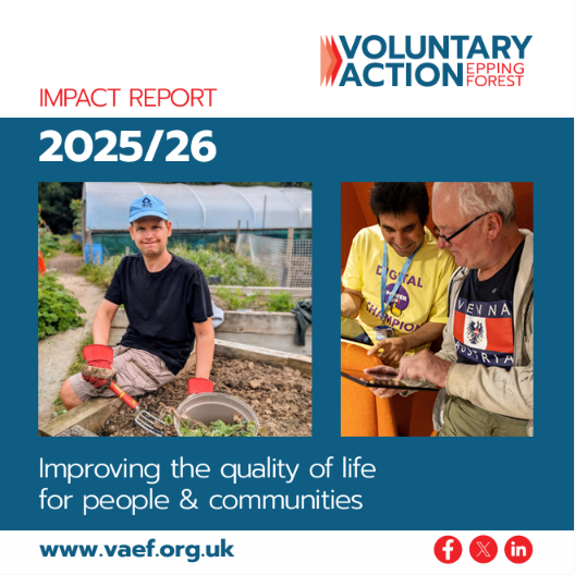 Impact report 2026 screenshot